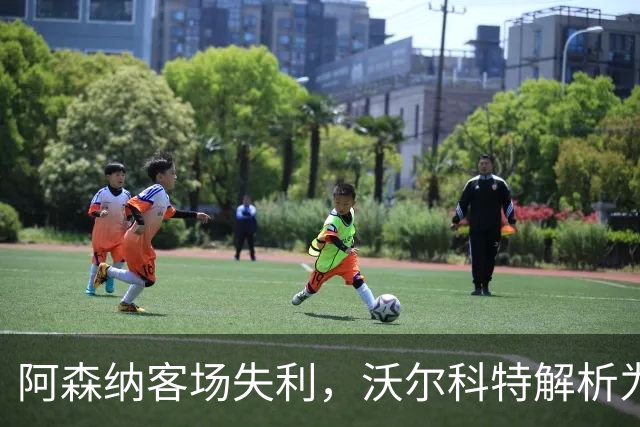 阿森纳客场失利，沃尔科特解析为何球队被布莱顿压制